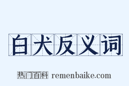 白犬反义词是什么意思的图片